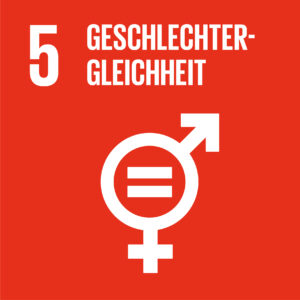 Icon Nachhaltigkeitsziel 5: Geschlechtergerechtigkeit