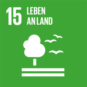 Icon Nachhaltigkeitsziel 15: Leben an Land